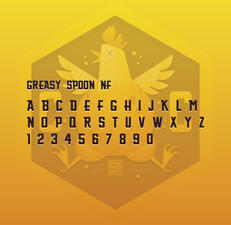 Font Used